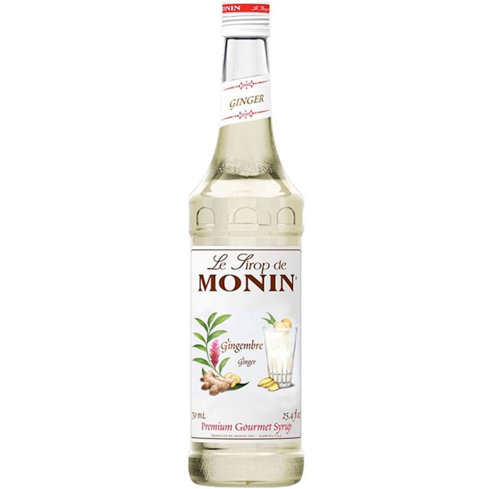 Xarope de Gengibre Drink 700ml Monin Gengibre Colibri Festas