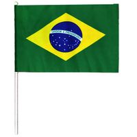 Bandeira Do Brasil Com Haste 45 Cm X 30 Cm Wincy