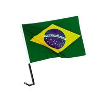 Bandeira De Tecido Do Brasil P/carro 30x40cm Wincy