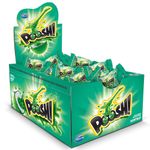 Chicle Poosh Hortelã 200g