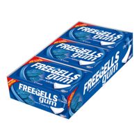 Chiclete Freegells Gum Hortelã 15x8,5g Riclan