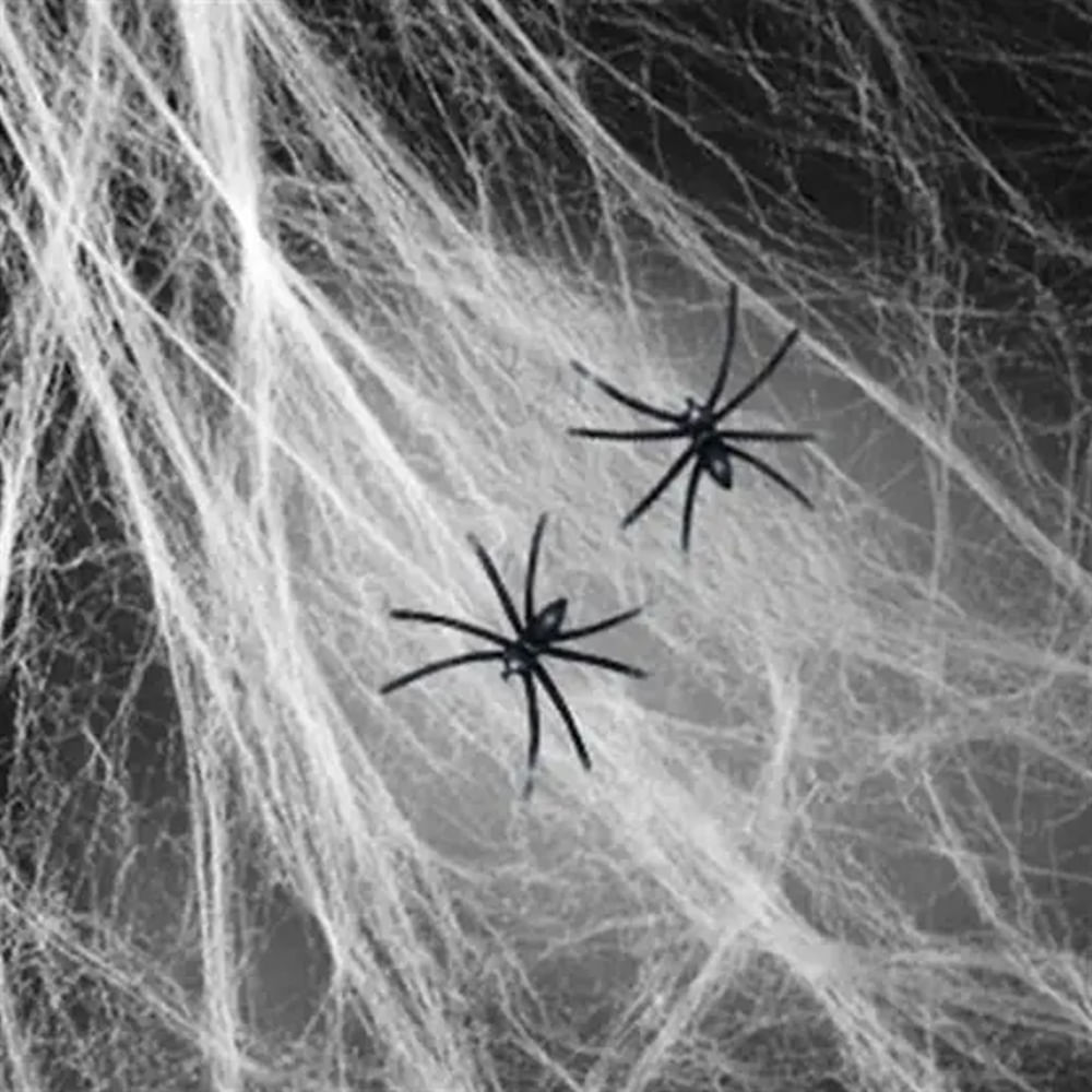 Teia de Aranha Silver Halloween Unidade